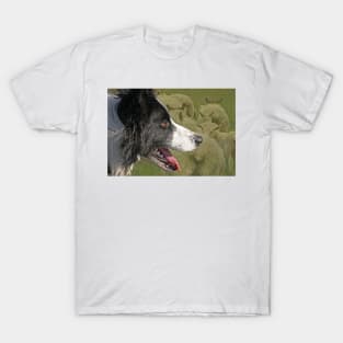 Sheepdog T-Shirt